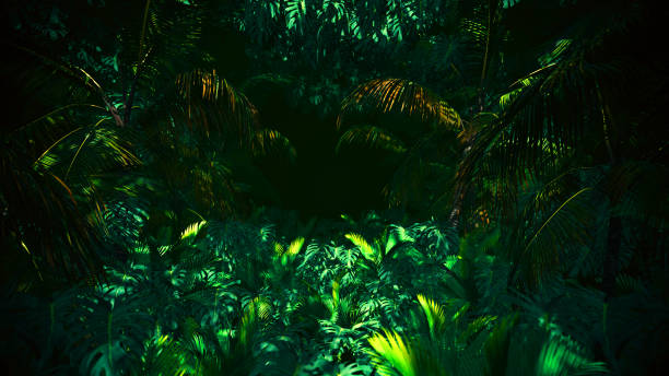 istock Adventure In Jungle Summer 1248871473