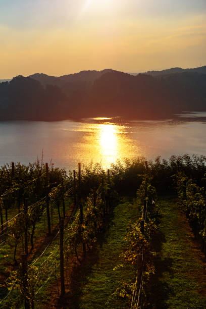 istock A Beautiful Sunset over vineyard overlooking the lake and mountains. 1248873647