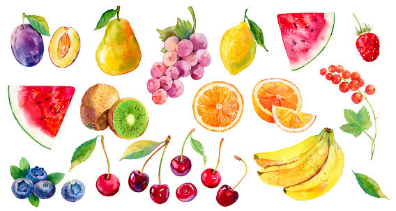 Watercolor fruits big set. Bright and colourful plum, pear, grapes, lemon, watermelon, kiwi, raspberry, orange, cherry, blueberry, bananas. Big set of watercolor painted fruits. Garden harvest