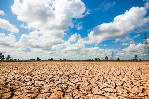 istock Dry ground Until causing the soil to have a wide separation 1248874061