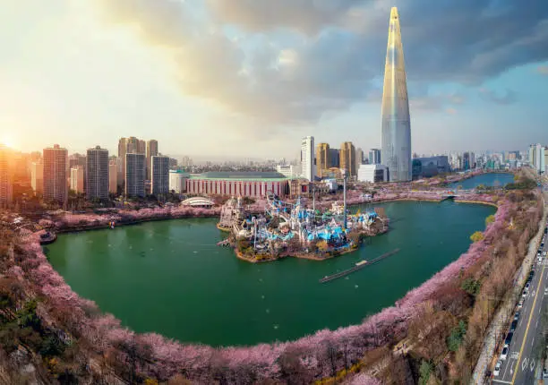 Spring season in seoul city with cherry blossom full blooming in the park, South Korea