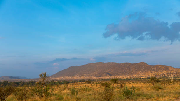 красивый луг саванны пейзаж с сухой травой и горами на заднем плане - masai mara national reserve sunset africa horizon over land стоковые фото и изображения