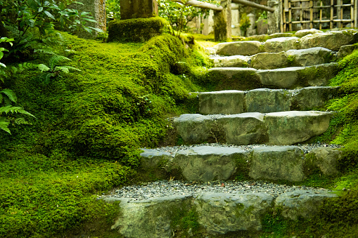 Japanese garden