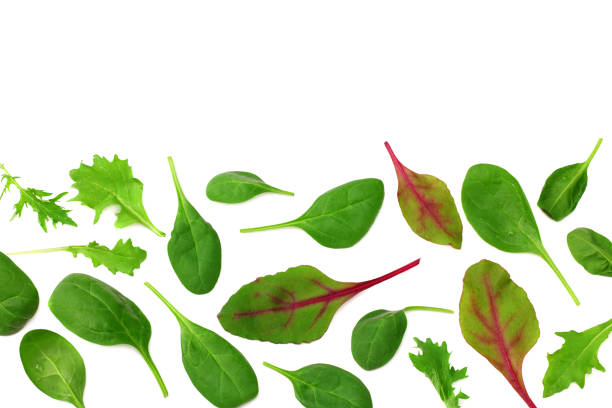 istock Mix of different salads isolated on white background. top view 1248881330