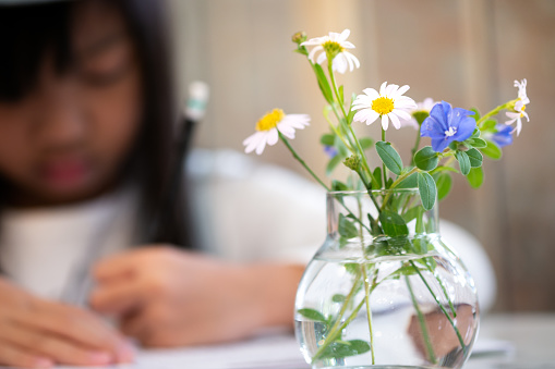Multicolored cute flowers in a clear glass vase placed on the table where an Asian girl is writing with selective focus