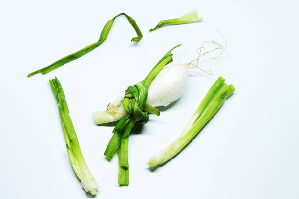 istock Fresh Green Spring Onion With Roots On An Isolated White Background 1248883313