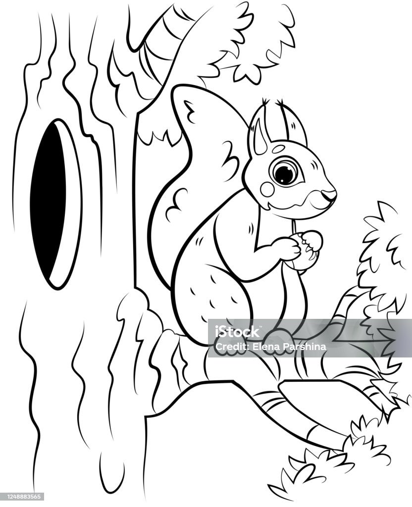 Ilustración de Perfil De Página Para Colorear Imprimible De La Ardilla De Dibujos Animados Lindo En El Árbol Con Avellana Imagen Vectorial Con Fondo De Bosque Libro Para Colorear De Animales Salvajes Ilustración de Perfil De Página Para Colorear Imprimible De La Ardilla De Dibujos Animados Lindo En El Árbol Con Avellana Imagen Vectorial Con Fondo De Bosque Libro Para Colorear De Animales Salvajes