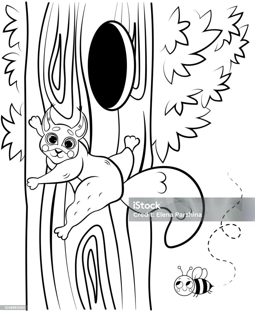 Printable Coloring Page Outline Of Cute Cartoon Squirrel Climbing On Tree  Near The Hollow Vector Image With Forest Background Coloring Book Of Forest  Wild Animals For Kids Stock Illustration - Download Image