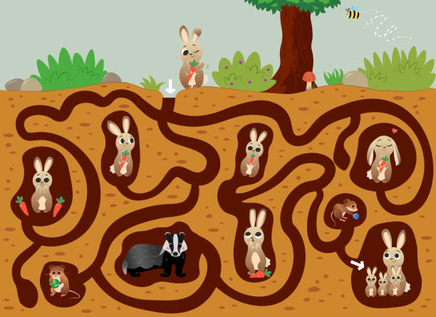 Help the hare find the way to his family in burrow under the ground. Vector color maze or labyrinth game for preschool children. Puzzle. Tangled road. Forest animals for kids. Help the hare find the way to his family in burrow under the ground. Vector color maze or labyrinth game for preschool children. Puzzle. Tangled road. Forest animals for kids. burrow stock illustrations