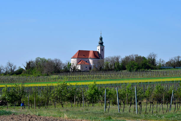istock Austria, countryside in Lower Austria 1248883622