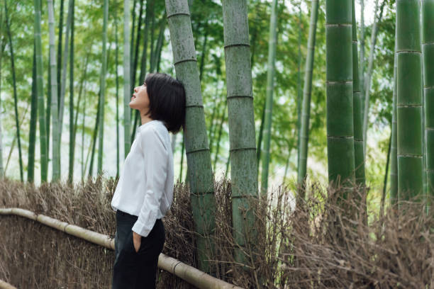 istock A young Asian woman is walking in the bamboo forest 1248884542