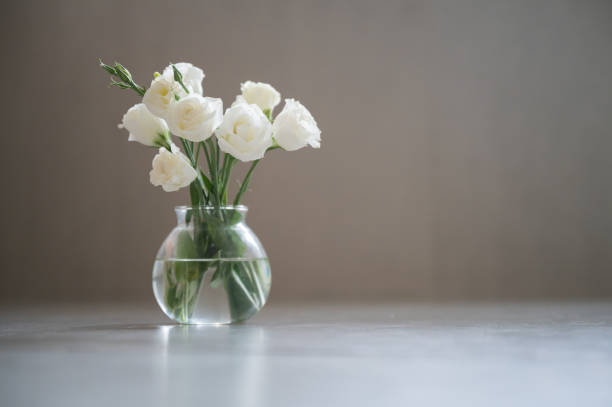 istock Campanulaceae flowers in glass vase 1248885158