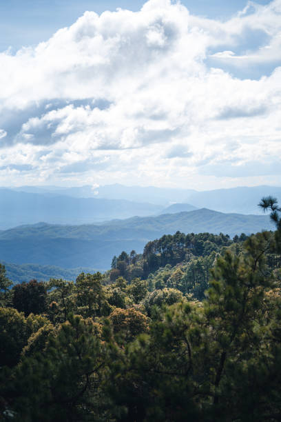 istock Mountains and green trees after the rain 1248886101