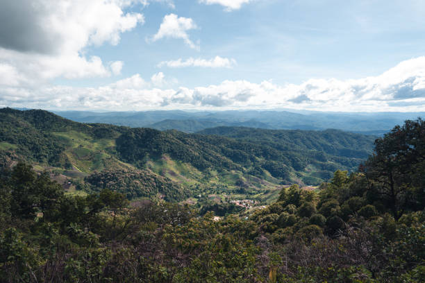 istock Mountains and green trees after the rain 1248886186