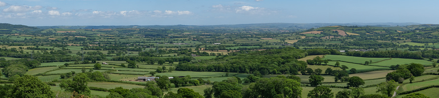 Lush summer fields and rural views in England, /24Dorset/Devon border