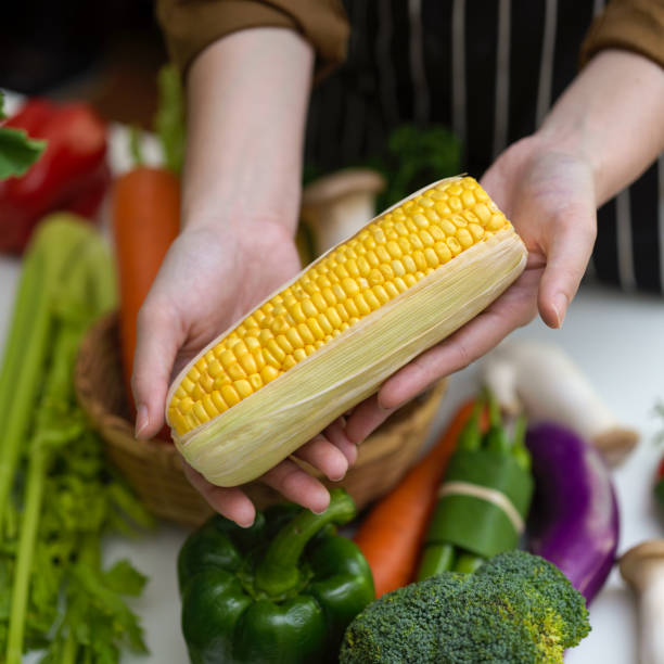 istock Hands holding corn on the cob while standing at table with other fresh farm vegetables 1248891571