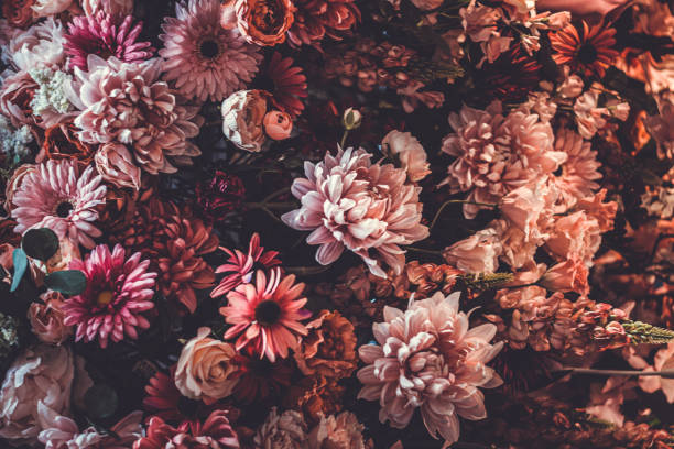 istock Full Frame of Colorful Summer Flower 1248891673