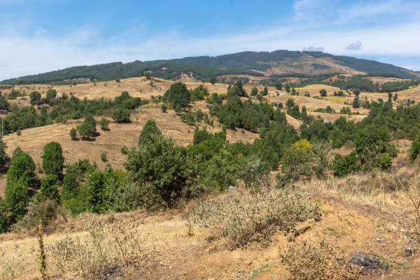 istock Landscape of Ograzhden Mountain, Bulgaria 1248892456