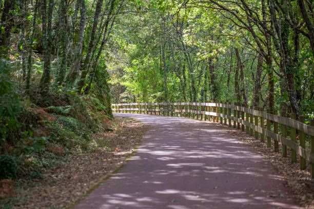 istock Pedestrian and cycle eco path, asphalt pavement, background and vegetation 1248894627
