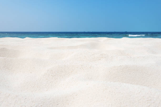 배경 또는 벽지에 대한 이국적인 모래 해변 장면 - sky yellow seascape summer resort 뉴스 사진 이미지