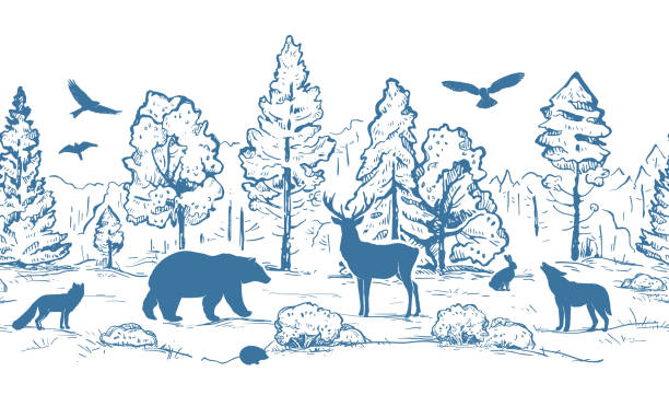 Szkic wektora poziome bez szwu granicy z drzew i zwierząt. Niebieskie sylwetki zwierząt i las wyizolowany na białym tle. Jelenie, zając, lis, jeż, wilk, niedźwiedź i ptaki. – artystyczna grafika wektorowa