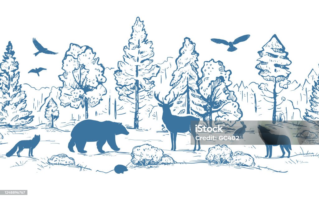 Sketch Vector Horizontal Seamless Border From Trees And Animals Blue Animals  Silhouettes And Forest Isolated On White Background Deer Hare Fox Hedgehog  Wolf Bear And Birds Stock Illustration - Download Image Now -