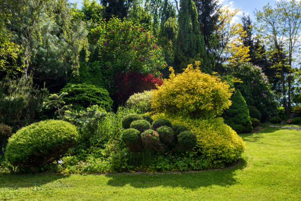 istock Beautiful summer garden concept 1248897365