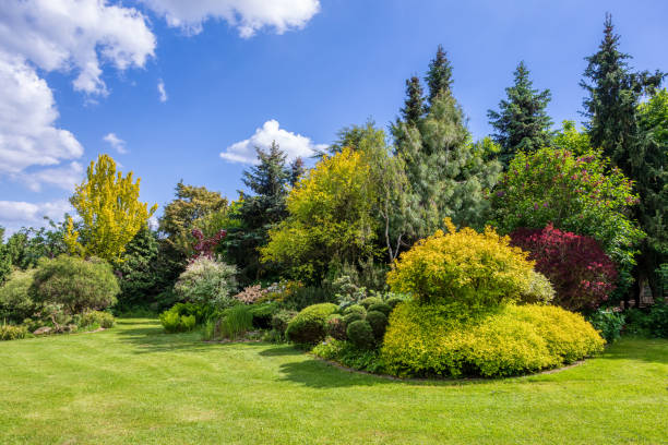 istock Beautiful summer garden concept 1248897366