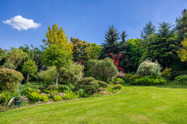 istock Beautiful summer garden concept 1248897375