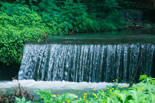 una pequeña cascada en un pequeño arroyo. - sinaia fotografías e imágenes de stock