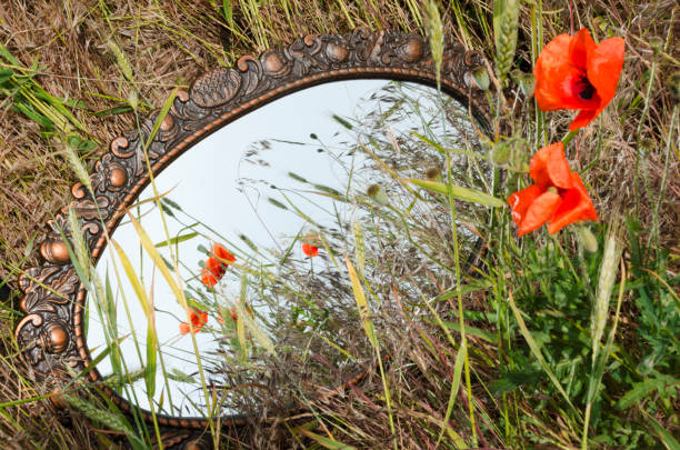 aged mirror in the field, reflection of red poppies, grass - mirror reflection mystery frame imagens e fotografias de stock