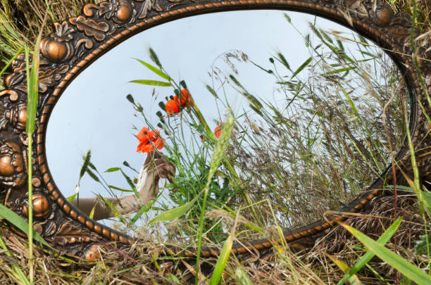 old mirror in the field, reflection of woman hand and bouquet of red poppies and grass - mirror reflection mystery frame imagens e fotografias de stock