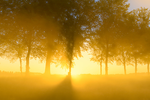 Early morning sunrise during a beautiful springtime day over the Zwartendijk, the old Zuiderzee levee in the IJsseldelta near Kampen in Overijssel The Netherlands.