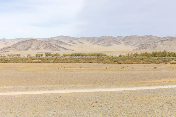 Dry Mongolian landscapes in the Altai Mountains, wide landscape.