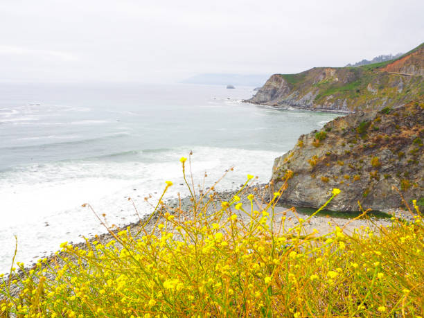 istock Pacific Coast Highway, Route 1, Big Sur, California, USA 1248907314