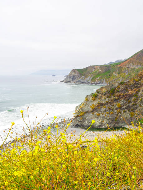 istock Pacific Coast Highway, Route 1, Big Sur, California, USA 1248907320