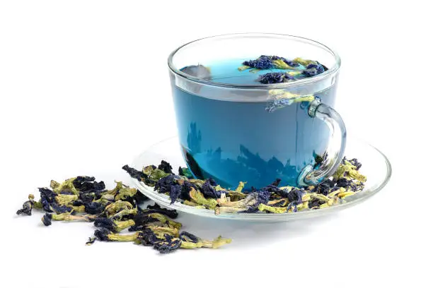 Photo of Butterfly pea flower blue tea in glass cup isolated on white background.