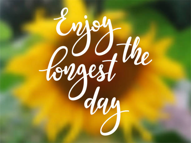 Enjoy the longest day Enjoy the longest day - handwritten lettering quote on blurred realistic  background with sunflower. Vector illustration of summer solstice. summer solstice stock illustrations