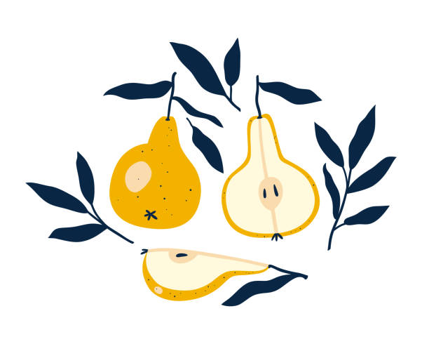 ilustrações de stock, clip art, desenhos animados e ícones de fresh yellow pears with leaf isolated on a white background. - pera