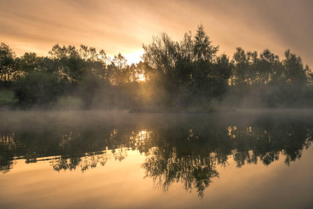 istock Misty lake at sunrise 1248925960