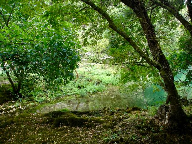 istock Krka National Park 1248934003