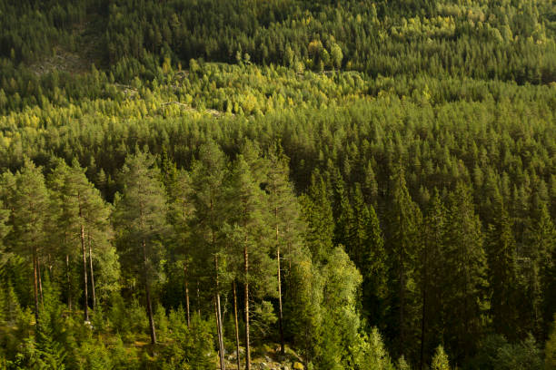 istock Amazing Nature Landscape 1248935448
