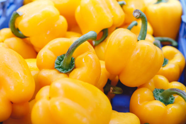 農家市場での販売のための新鮮な生の有機黄色の唐辛子野菜。ビーガン食品と健康的な栄養の概念。トップビューストック写真黄色コショウパプリカ食品の背景として。 - pepper bell pepper market spice ストックフォトと画像
