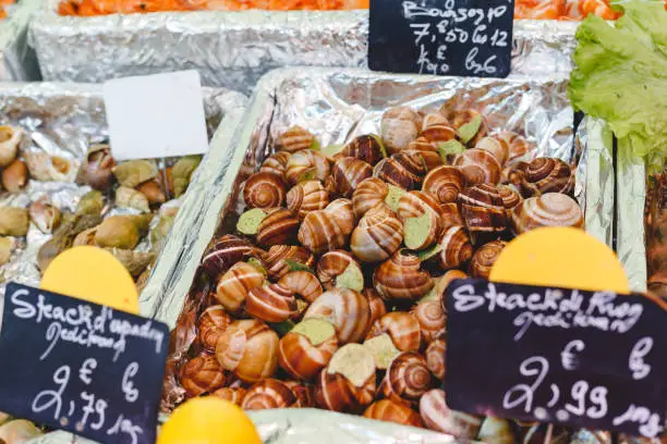Raw uncooked snails with garlic butter for sale at fish market. Sea food,shellfish market. Stock photo snails with big snails, escargots, stuffed with green sauce in foil box on market Paris, France