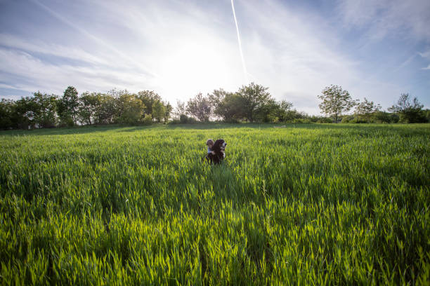 istock Boy with dog in a field 1248936150