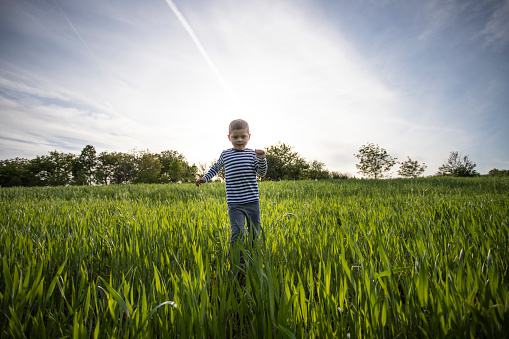 Four years old boy running in a green field during sunset.