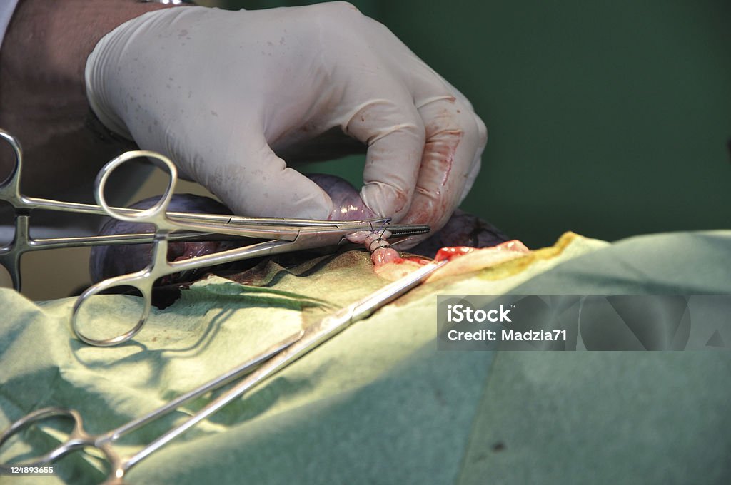 Il chirurgo - Foto stock royalty-free di Suturare