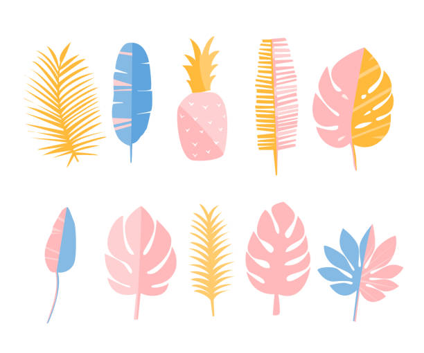 liście tropowe i ananas. zestaw płaskich ilustracji, elementów dekoracyjnych na karty, grafik mody i stacjonarnych. - fern leaf isolated flat stock illustrations