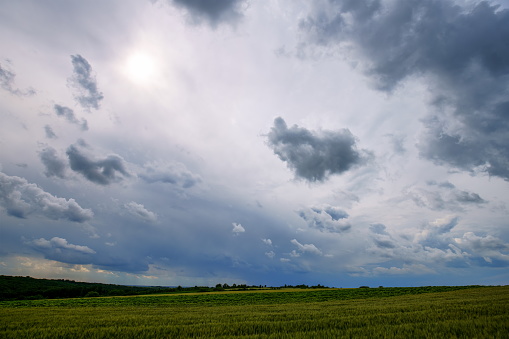 Gloomy sky over field.