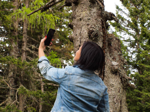 Woman Taking Selfies in the Woods Woman with black hair , wearing jeans jacket, taking selfies in forest, green pine trees in tha back krvavec stock pictures, royalty-free photos & images